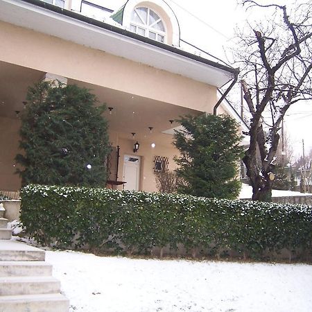 Villa Székely Leányfalu Esterno foto