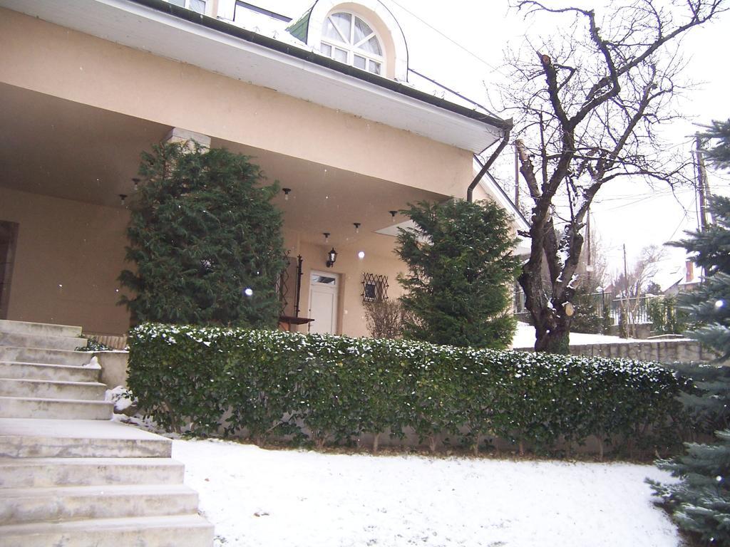Villa Székely Leányfalu Esterno foto